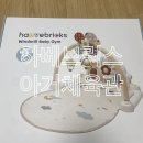 내산체육관 | [내 돈 내산] 하베브릭스 아기체육관 : 피셔프라이스와의 차이 사용시기 성장별 사용후기
