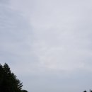 스프링데이 이미지