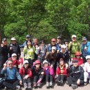 경희대학교 행정대학원 이미지