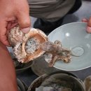 대관령양푼이동태찌개 이미지