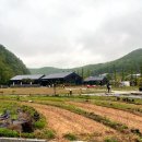 용덕저수지 | 용인 가볼만한 곳 실내 비오는날 ‘ 묵리459 ’ 블루리본 처인구 브런치 맛집 주차 :: 피스타치오 크림...