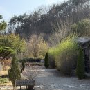 서당길 | 경남 독채 펜션 추천 산청 덕교 에피소드 4인 방문 후기ㅣ조식, 어메니티 등 감성 숙소 정보