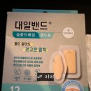 대일환경 | 습윤밴드 완벽 비교! 대일밴드 vs 맘스덤 하이드로밴드 솔직 후기