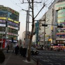 NIC PC cafe 이미지