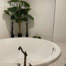 주바뷰티샵