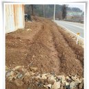 통돼지와도토리 이미지