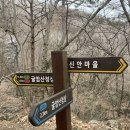 신안마을 | 김해 장유 굴암산 등산 후기(신안마을 출발, C 코스 → A코스)