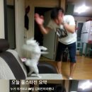 인천광역시 삼산월드체육관 이미지