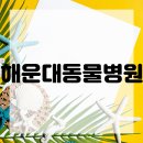 포근한동물병원 네이버블로그