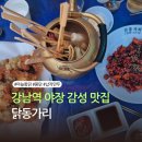 쉼;감성포차 | 강남역 실내포차 끝판왕 🍻 레트로 야장 감성에 육즙터지는 마늘치킨 맛집 '닭동가리 강남점'