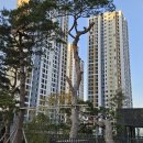 레이카운티 3단지 이미지