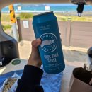 낯선하루 | [제주 성산 게스트하우스] 낯선하루 내돈내산 후기(내향인 추천)