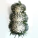 완도대성병원 이미지