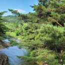 홍천캠핑텔 이미지