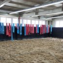 씨름연습장 이미지