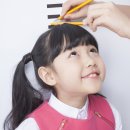 SD 복싱짐 이미지