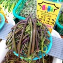 창희수산 Daum카페