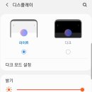 휴대폰으로 찍는 인생사진 이미지