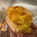 와플대학강릉중앙캠퍼스
