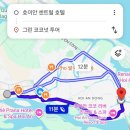투어코코넛 | 호이안 바구니배 그린 코코넛 투어 예약, 가격, 팁 4인가족 후기