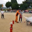 표교초교 이미지