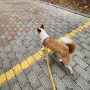 (주)친구네 이미지