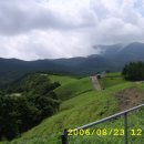 대관령 농장 이미지