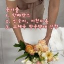 티니안플라워 네이버블로그
