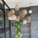 누와즈컬리넌호텔 이미지