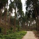 장성병원 우 이미지