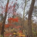 좋은친구들 이미지