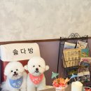 솔다방 - 임실군 봉황8길 22 | 솔다방