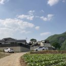 충주 감성숙소 : 슬로우 팔봉45 숙박 후기