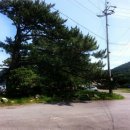 우주해변민박 이미지