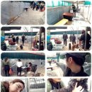 러브펫츠 이미지