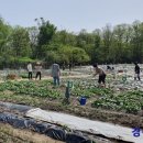 산동농장 이미지