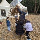 대청 유아숲체험원 이미지