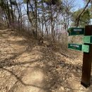 치유의 숲 야영장 이미지