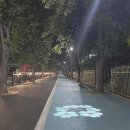 느티나무길 이미지