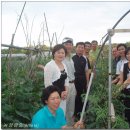 홍래 농장 이미지