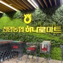 천안농협하나로마트성성점