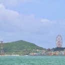 젊은열대어 | 나트랑 자유여행 호핑투어 후기｜부모님과 함께한 가족 여행, 바다에서 보낸 최고의 하루