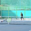 청송군민테니스장 이미지