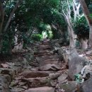 공곶이해변 이미지