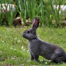 타이어코리아 이미지