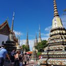 매남농장 이미지