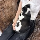 갓파스시 구로디지털단지점 이미지