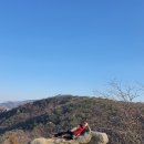 돌산동산정원 Daum카페