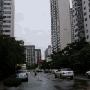 분당-314 이미지