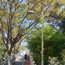 초림 어린이공원 이미지